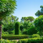 Pépinières Naudet : votre source en ligne pour arbres et arbustes de qualité